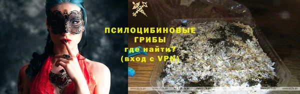 молекула духа Козловка