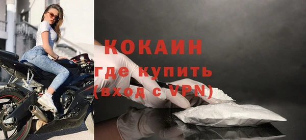 молекула духа Козловка