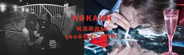 молекула духа Козловка