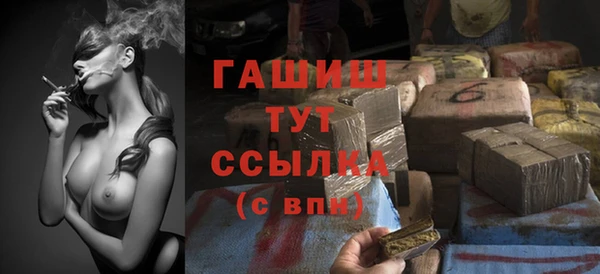 молекула духа Козловка