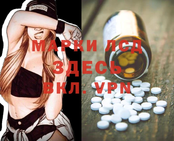 гашик Кодинск