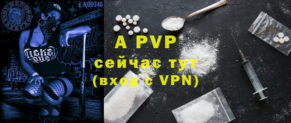 молекула духа Козловка