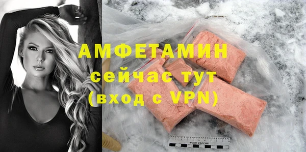 молекула духа Козловка