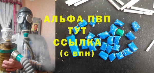 молекула духа Козловка