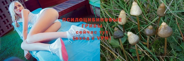молекула духа Козловка