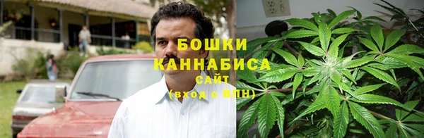 гашик Кодинск