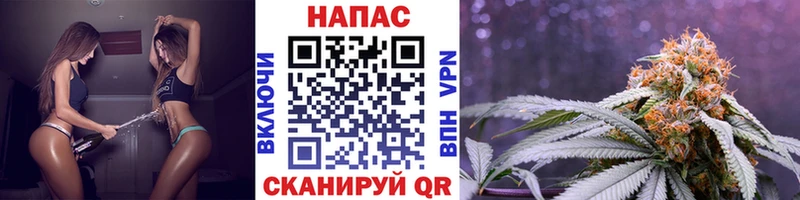 Купить  Самара  Конопля MAZAR 